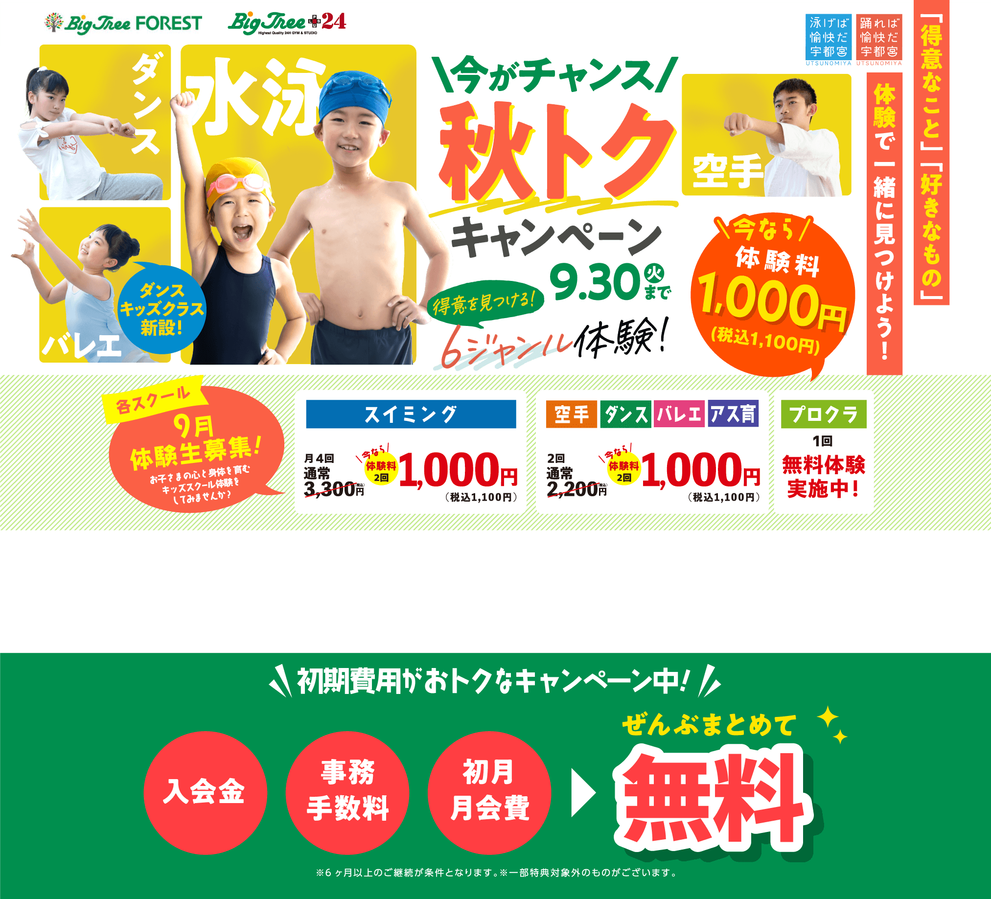 ビッグツリー 今がチャンス  秋トクキャンペーン！ 2025 9/30（火）まで!