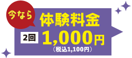 今なら体験料金 月2回2,000円（税込2,200円）