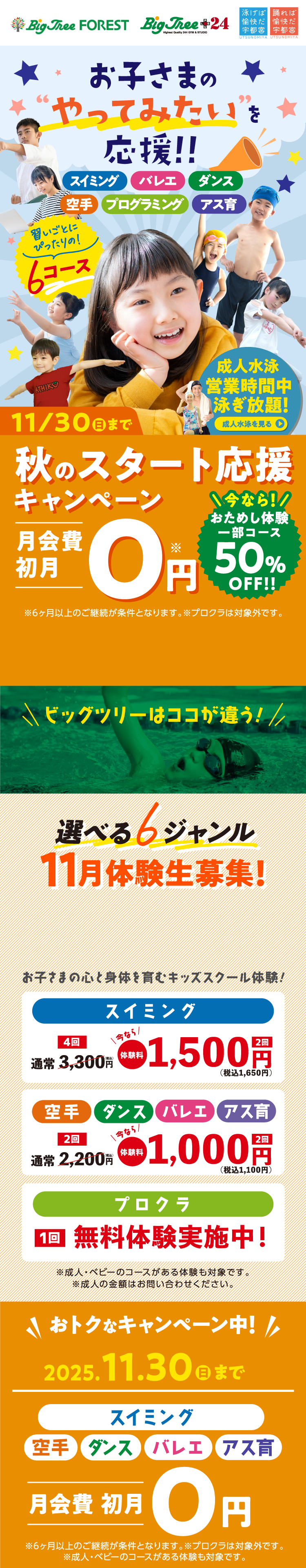 ビッグツリー お子さまのやってみたいを応援!! 秋の入会キャンペーン！ 2025 11/30（日）まで!