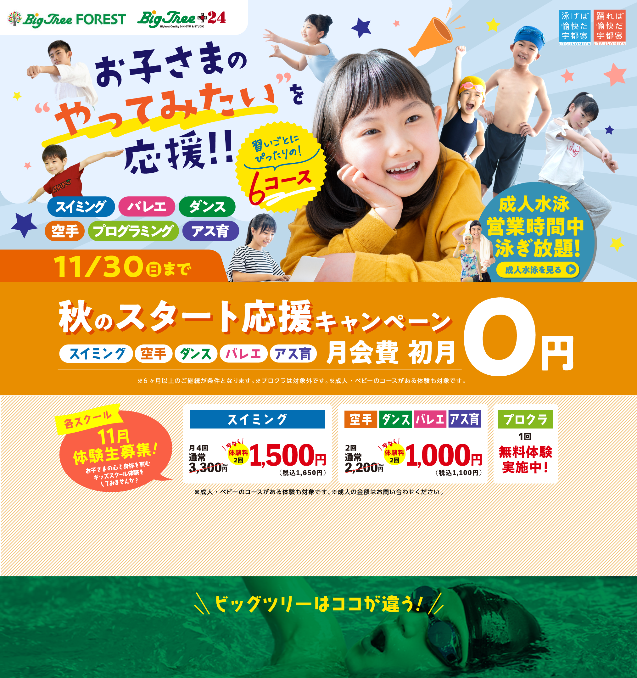ビッグツリー お子さまのやってみたいを応援!! 秋の入会キャンペーン！ 2025 11/30（日）まで!