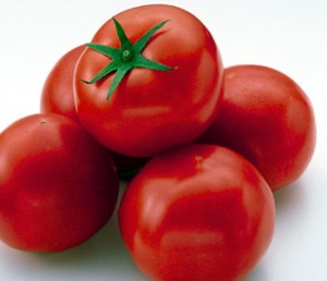 l_tomato
