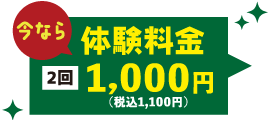 今なら体験料金 月2回1,000円（税込1,100円）