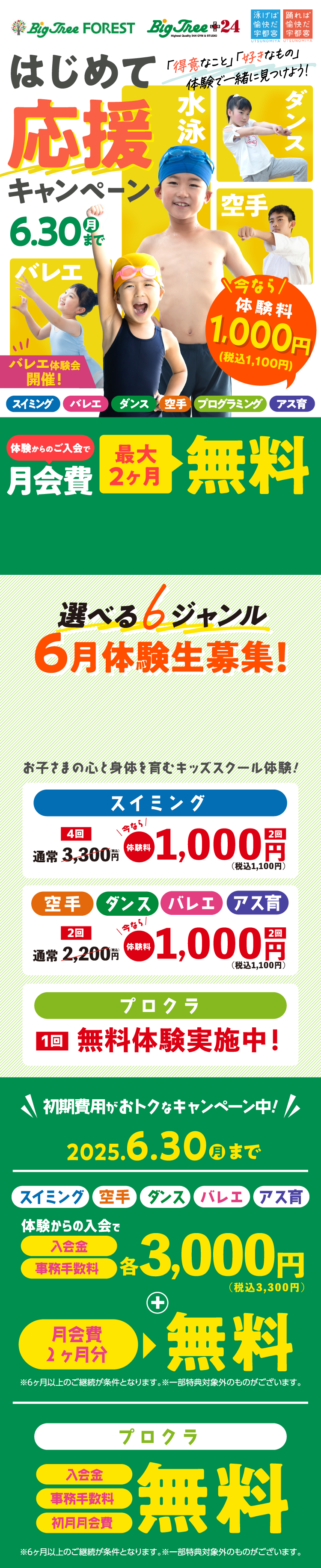 ビッグツリー はじめて応援キャンペーン！ 2025 6/30（月）まで!