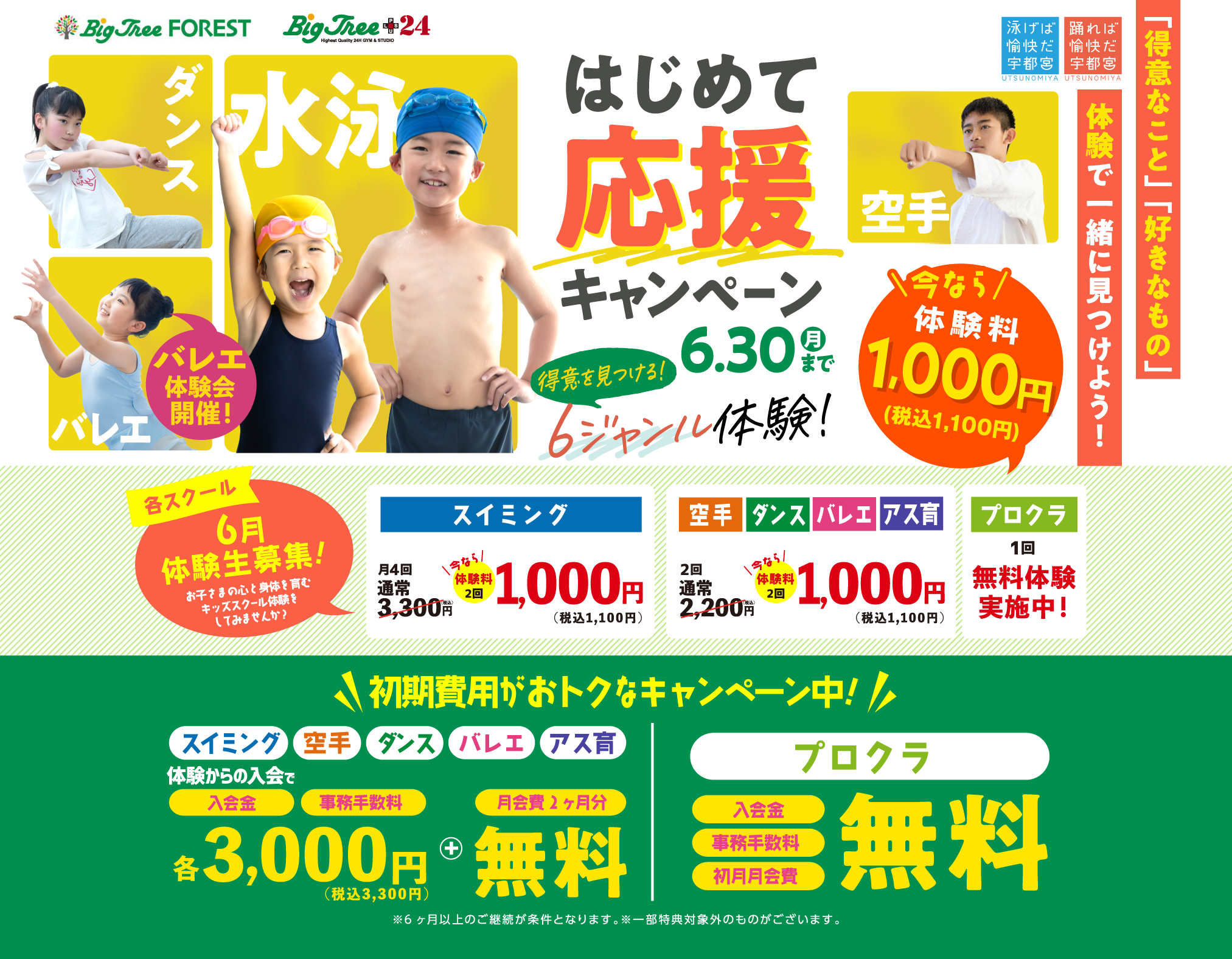 ビッグツリー はじめて応援キャンペーン！ 2025 6/30（月）まで!