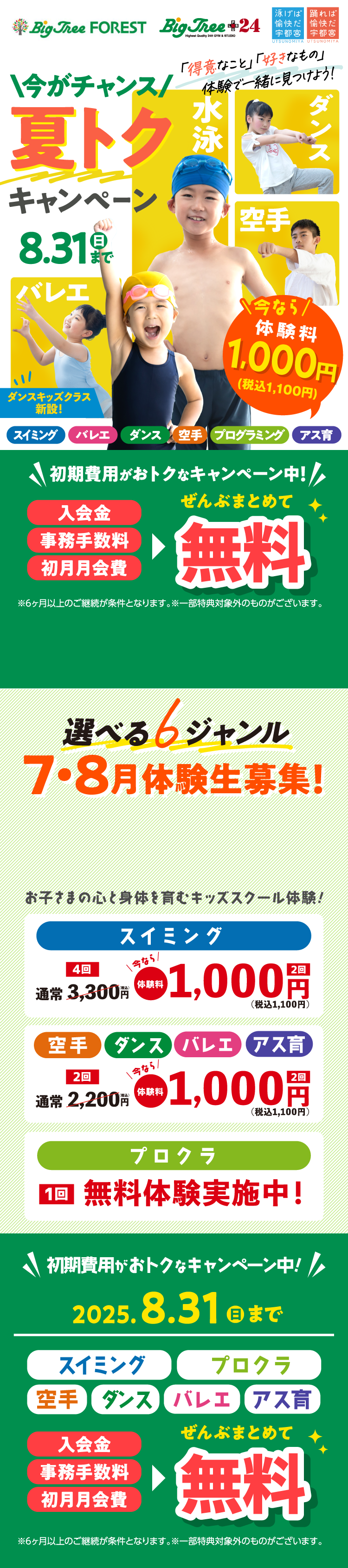 ビッグツリー 今がチャンス 夏トクキャンペーン！ 2025 8/31（日）まで!
