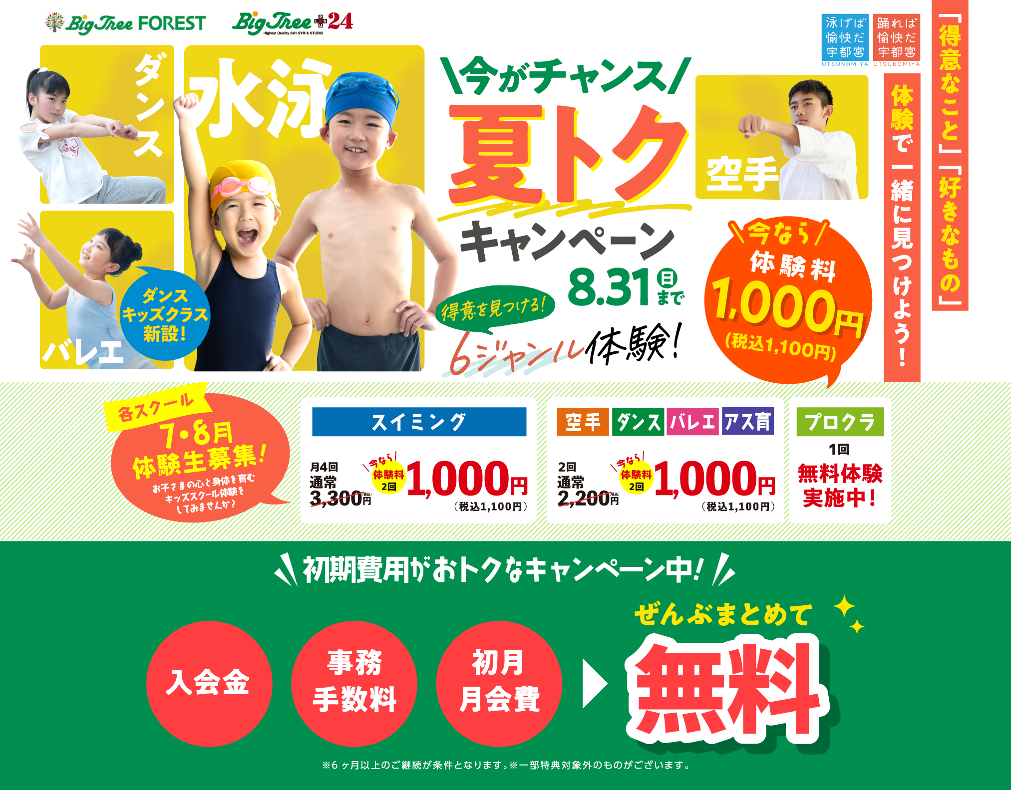 ビッグツリー 今がチャンス 夏トクキャンペーン！ 2025 8/31（日）まで!