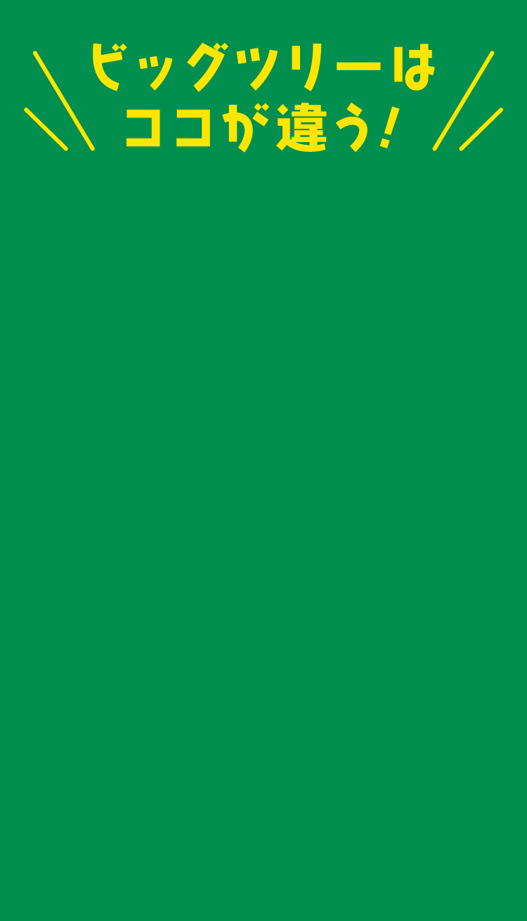 ビッグツリーはここが違う！