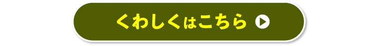 くわしくはこちら