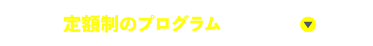 定額制のプログラムはこちら!