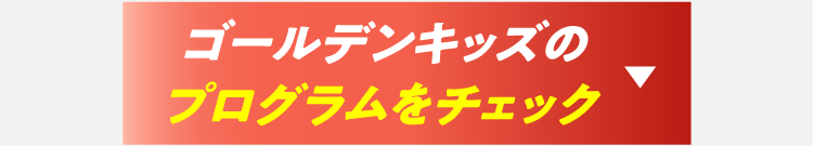 プログラムをチェック