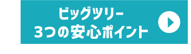 ビッグツリー3つの安心ポイント