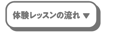 体験レッスンの流れ