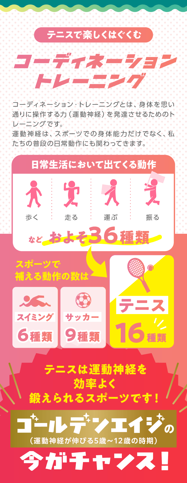 コーディネーショントレーニング