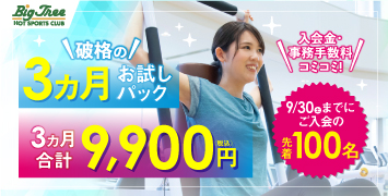 2023年春のフレッシュキャンペーン ビックツリー桜本店