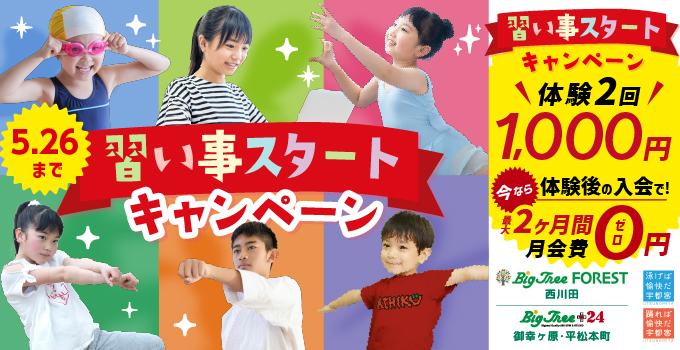 サキドリ